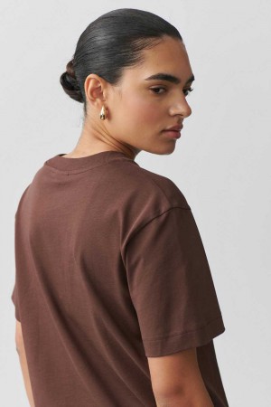 Women Gina Tricot Basic T Shirts Brown | 01WVQHYDP