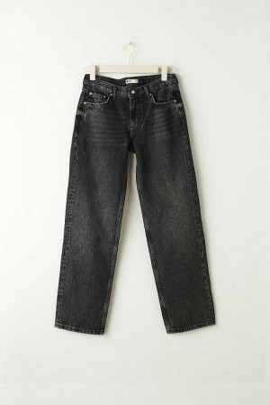 Women Gina Tricot Low Straight Petite Jeans Black | 21WHIQETY